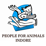 pfa logo